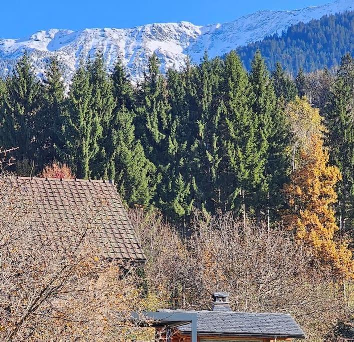 La Petite Maison Bonvillard 外观 照片
